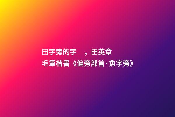 田字旁的字，田英章毛筆楷書《偏旁部首·魚字旁》-第1張-觀點-玄機派